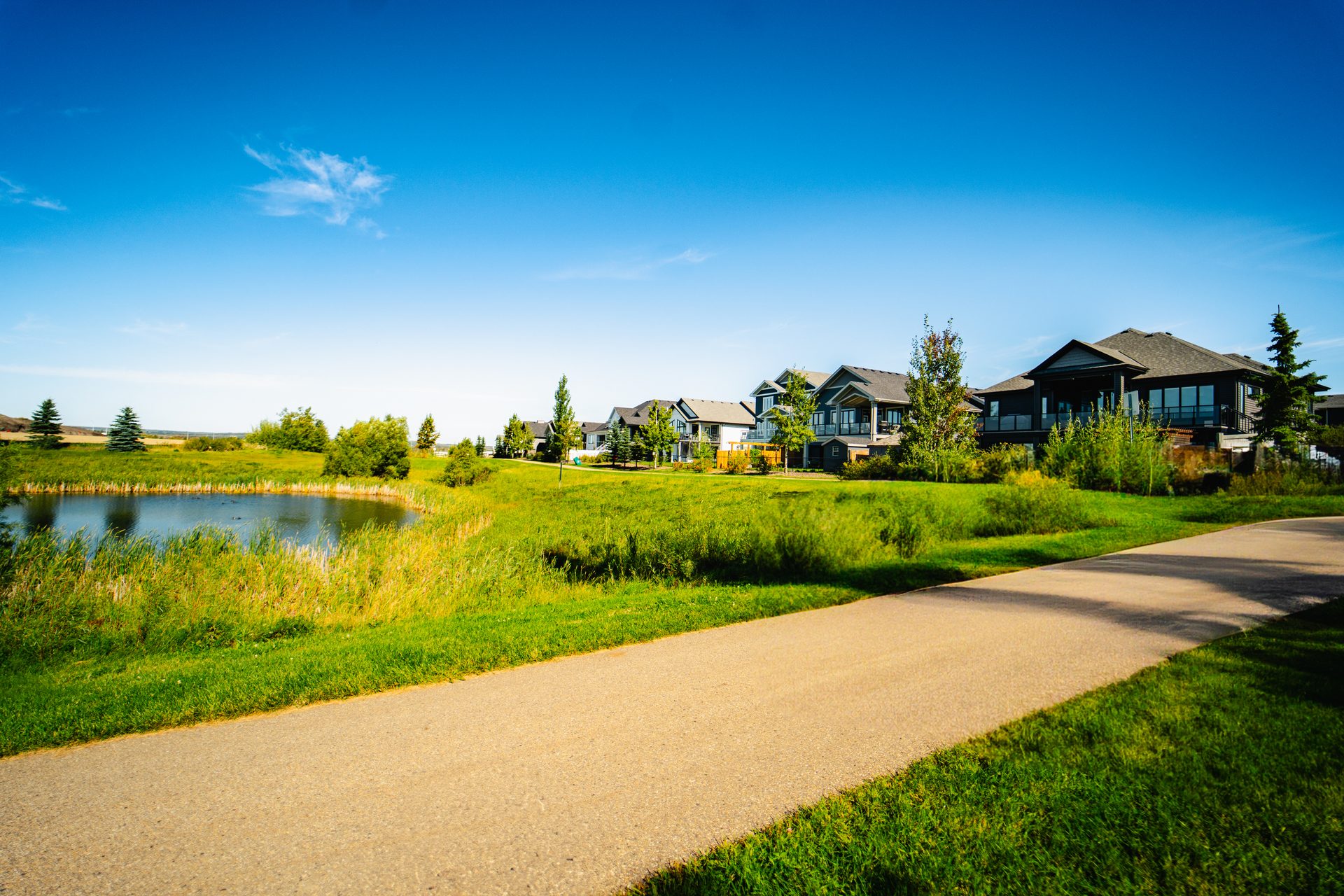 Tree-lined walking trail through the community